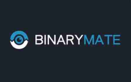 Обзор компании Binarymate